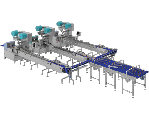 Packing line and automatic feeder of sponge cake