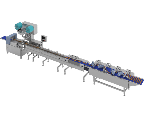 Packing line and automatic feeder of chocolate