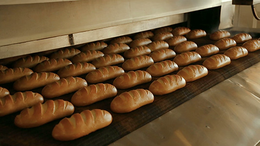 خط تولید نان